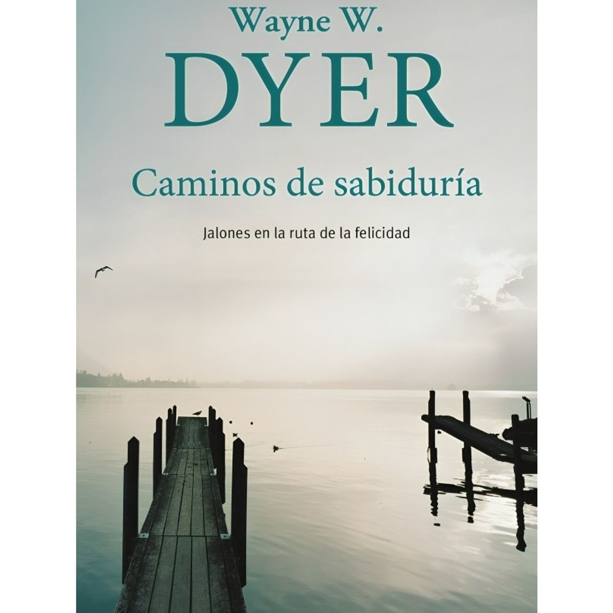 TOP10BOOKS - LIBRO Caminos De Sabiduría - Caminos De Sabiduría