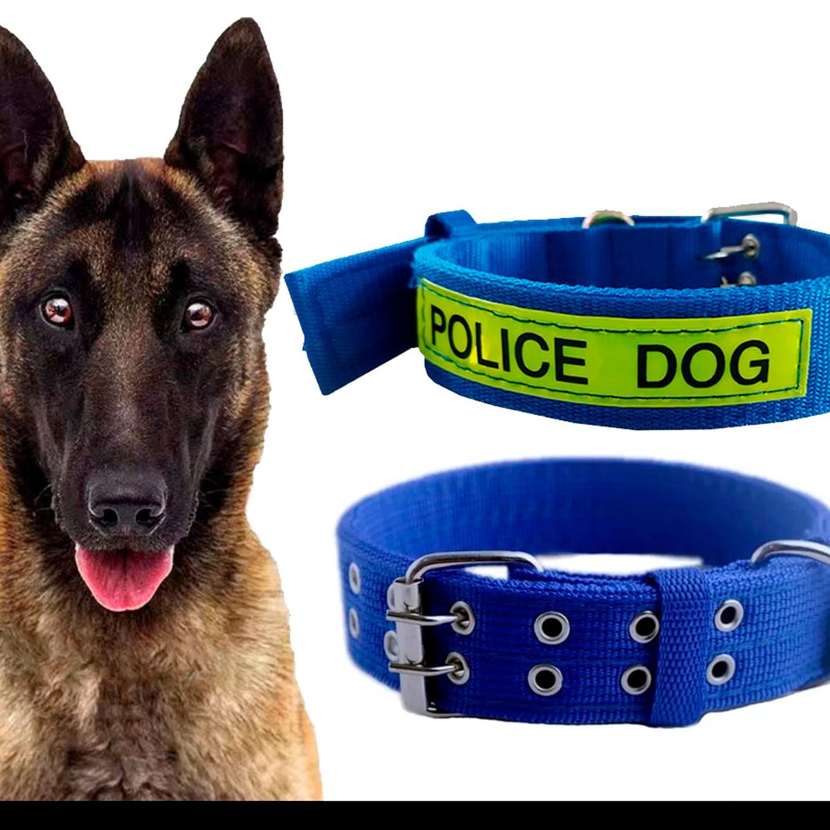 GENERICO - collar Trailla Gruesa   + correa Police Dog para  mascota
