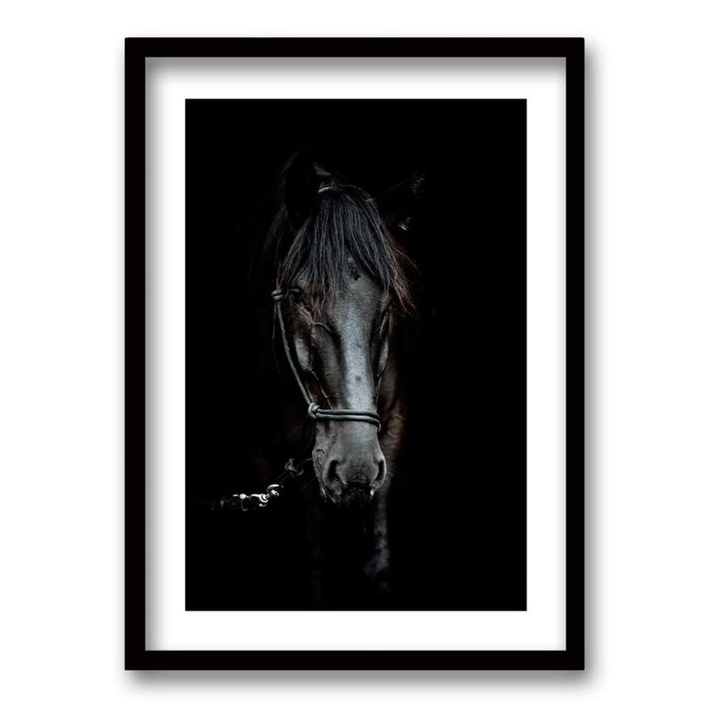 RETELA - Cuadro Caballo B/N - Negro - 70x50 cm