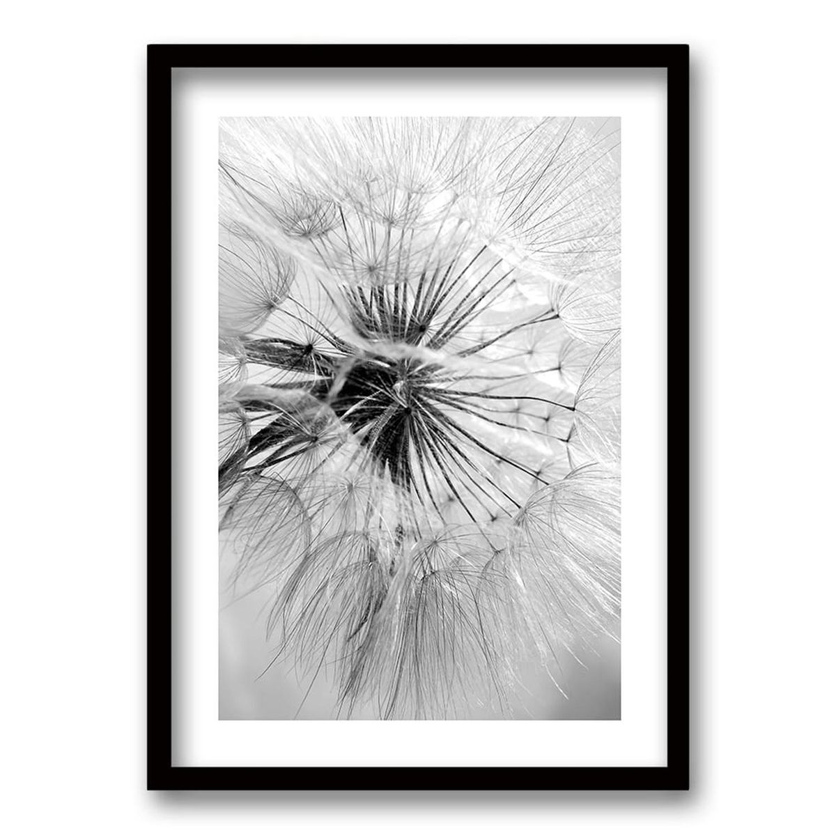 RETELA - Cuadro Flor de León - Negro