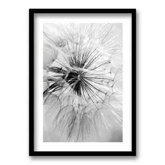 RETELA - Cuadro Flor de León - Negro