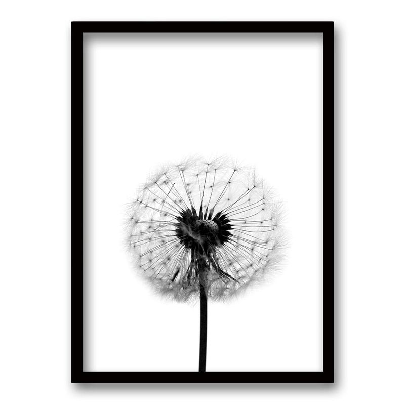 RETELA - Cuadro Flor de Leon B - Negro