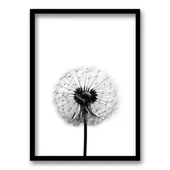 RETELA - Cuadro Flor de Leon B - Negro