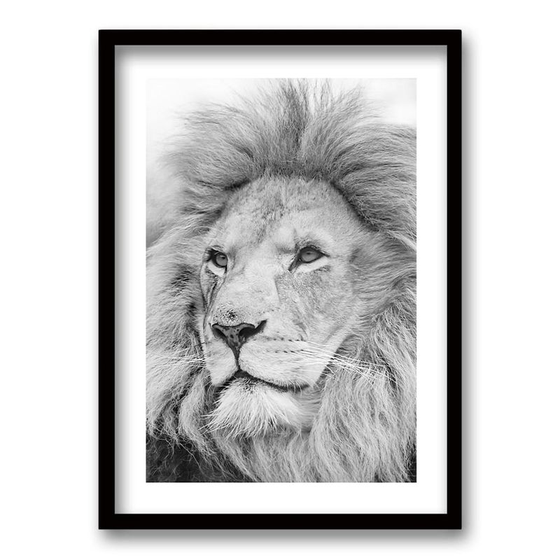 RETELA - Cuadro León Gris - Negro - 70x50 cm