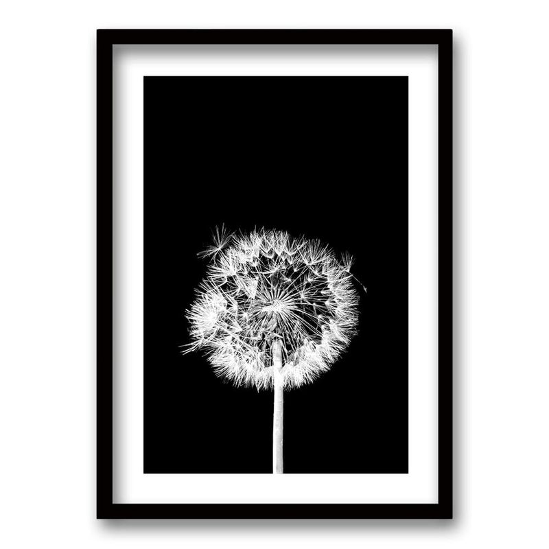 RETELA - Cuadro Flor De Leon N - Negro - 50x35 cm