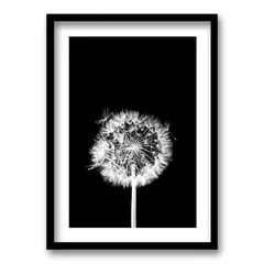 RETELA - Cuadro Flor De Leon N - Negro - 50x35 cm