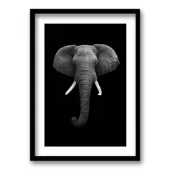 RETELA - Cuadro Elephant B/N - Negro - 50x35 cm