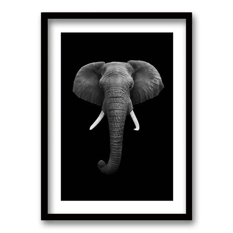 RETELA - Cuadro Elephant B/N - Negro