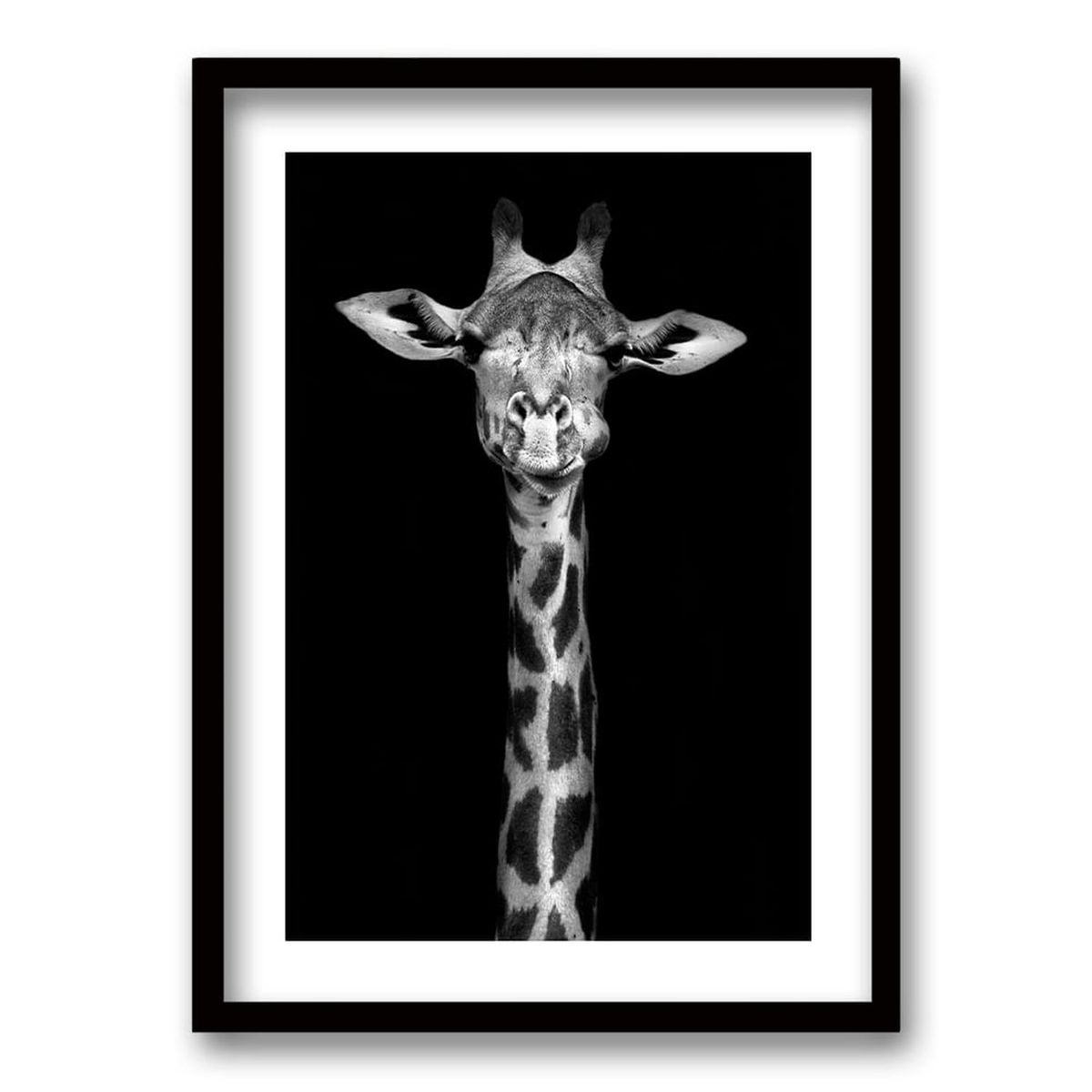 RETELA - Cuadro Jirafa BN - Negro - 70x50 cm