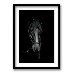 RETELA - Cuadro Caballo B/N - Negro