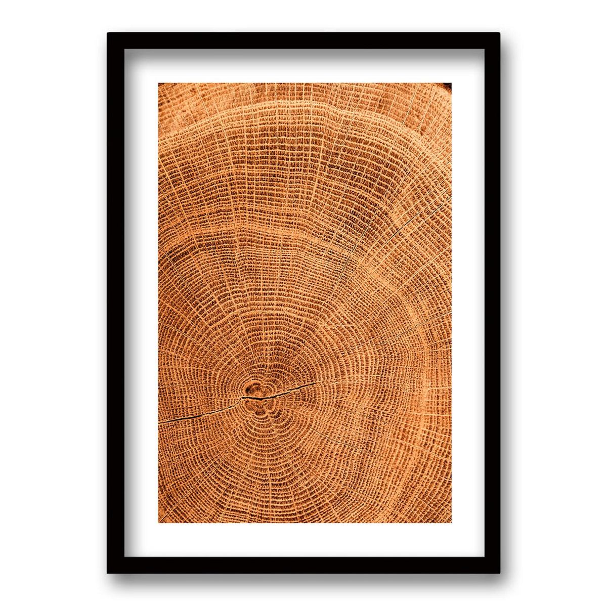 RETELA - Cuadro Flúcreas - Negro