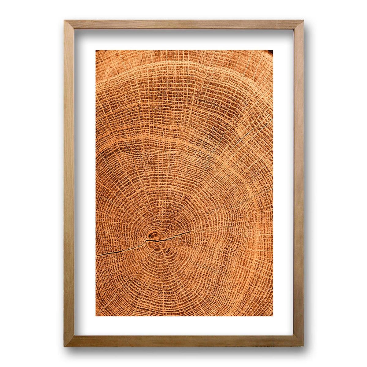 RETELA - Cuadro Flúcreas - Negro