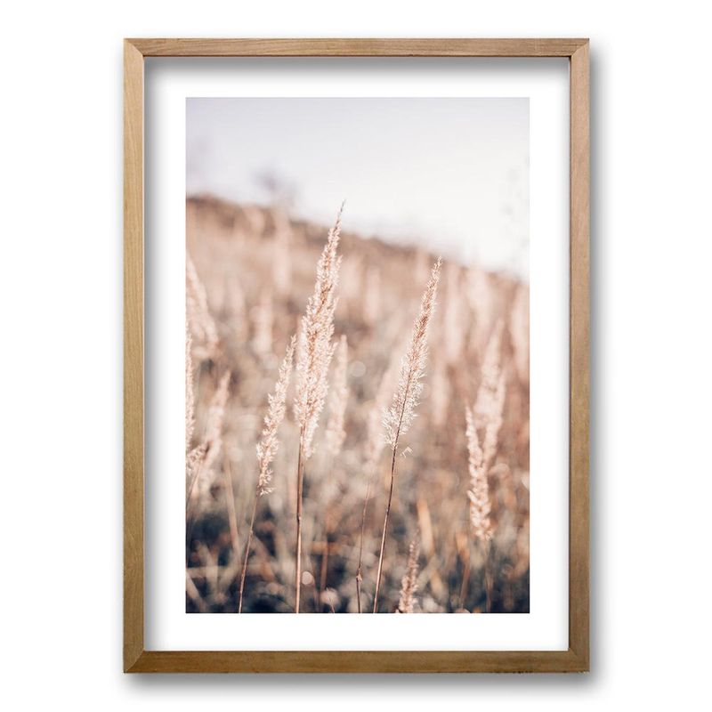 RETELA - Cuadro Ceratophyllum - Cafe - 70x50 cm