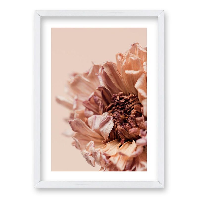 RETELA - Cuadro Flor Seca - Blanco - 70x50 cm