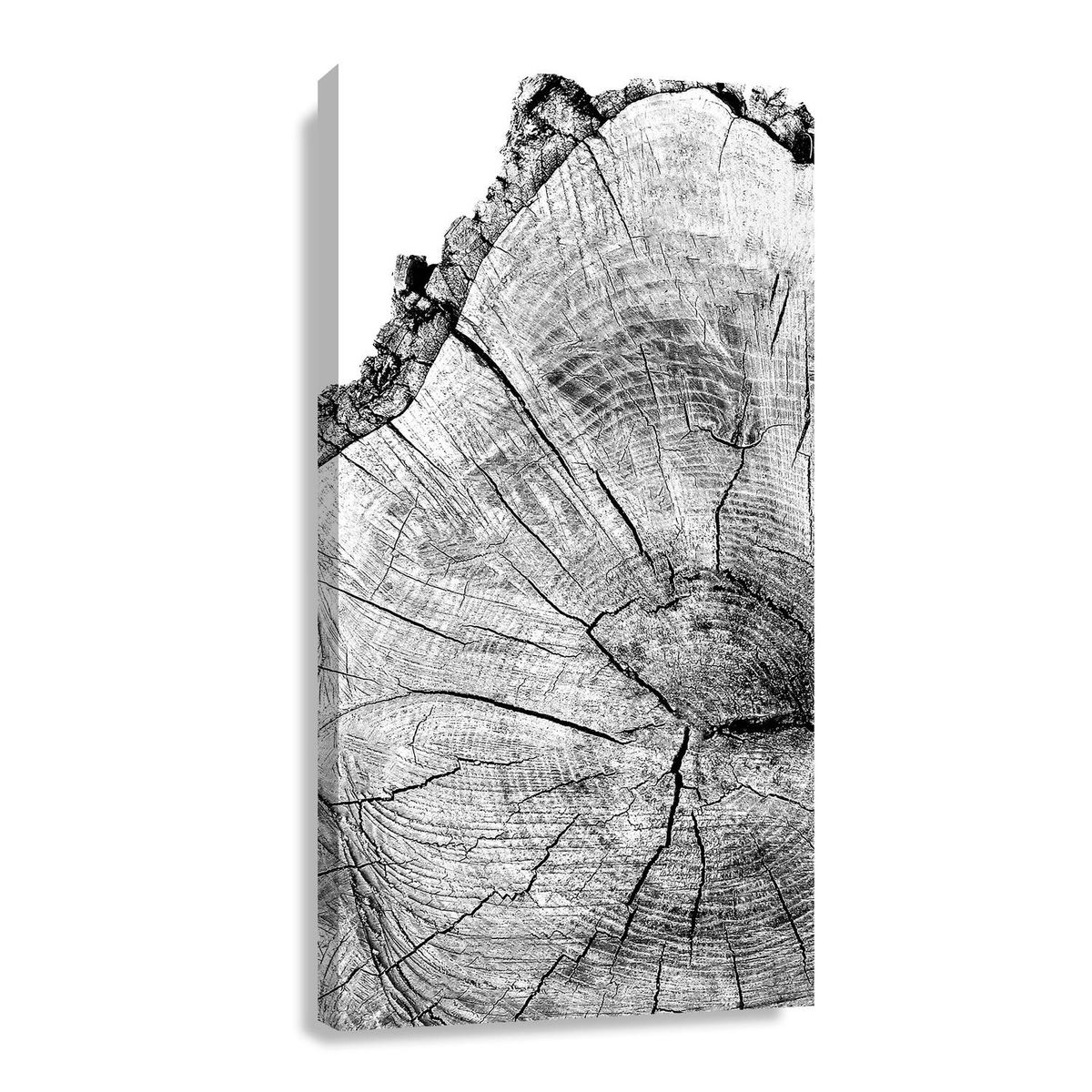 RETELA - Canvas XL Modelo 117 - Multicolor - 135x80 cm