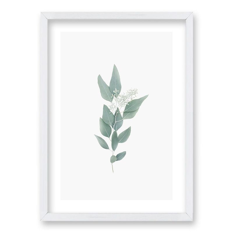 RETELA - Cuadro Casquito de Eucalipto - Blanco - 50x35 cm