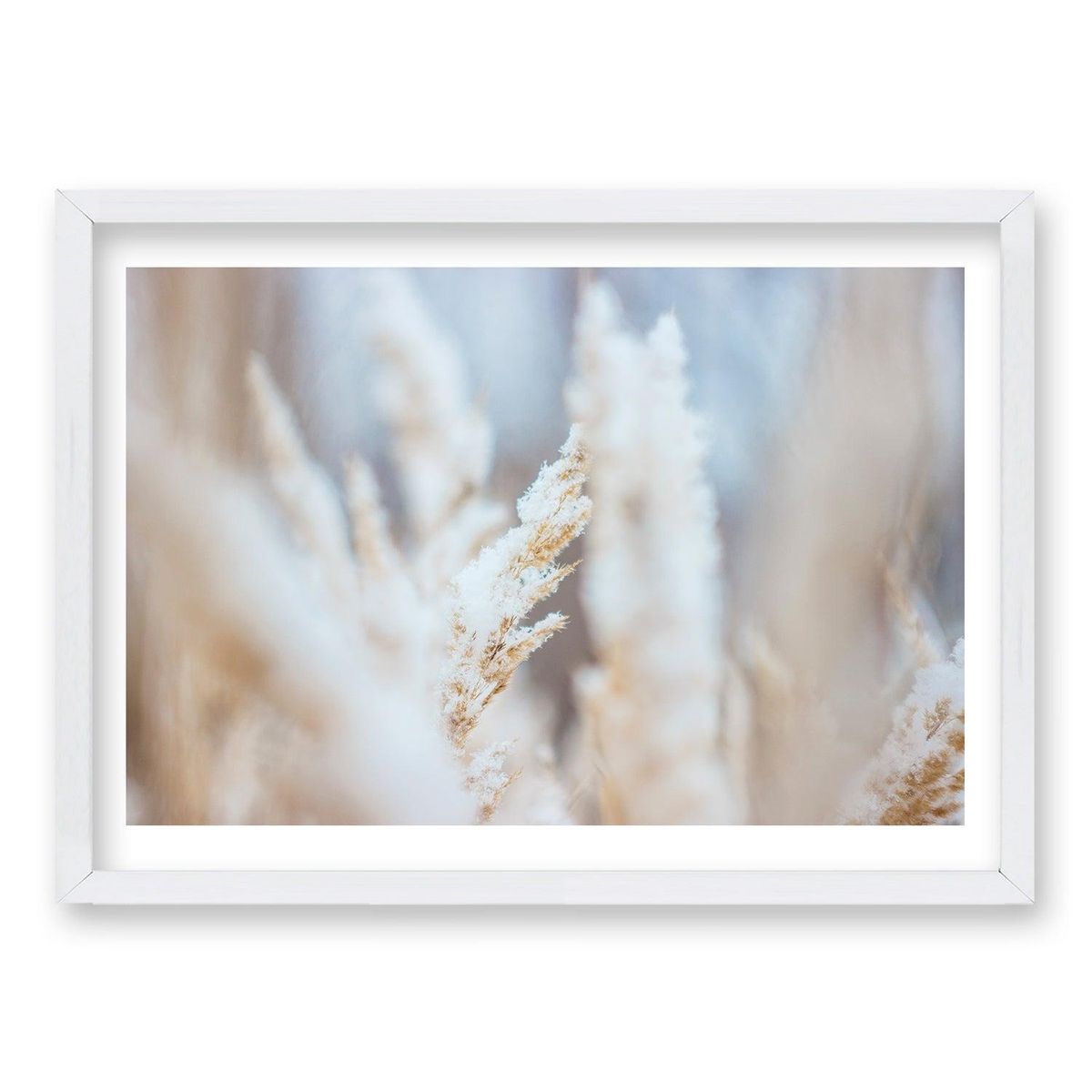 RETELA - Cuadro Espiga II - Blanco - 50x35 cm