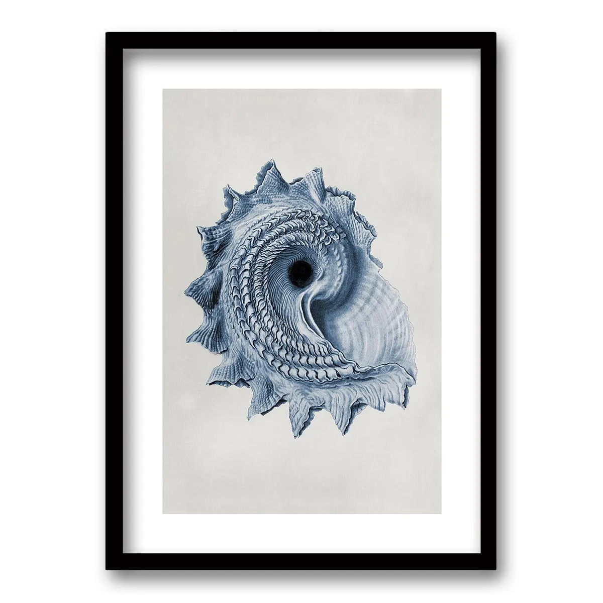 RETELA - Cuadro Blue Shell III - Negro - 40x30 cm