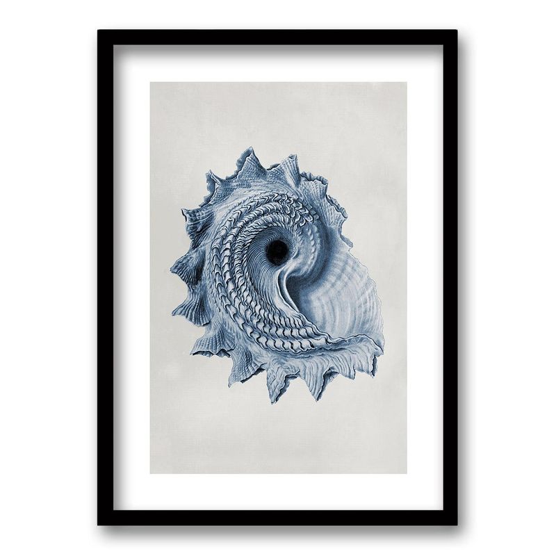 RETELA - Cuadro Blue Shell III - Negro