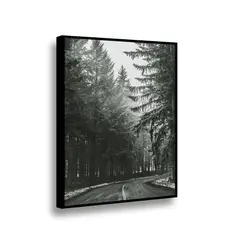RETELA - Canvas Bosque BN2 - Multicolor - Enmarcado
