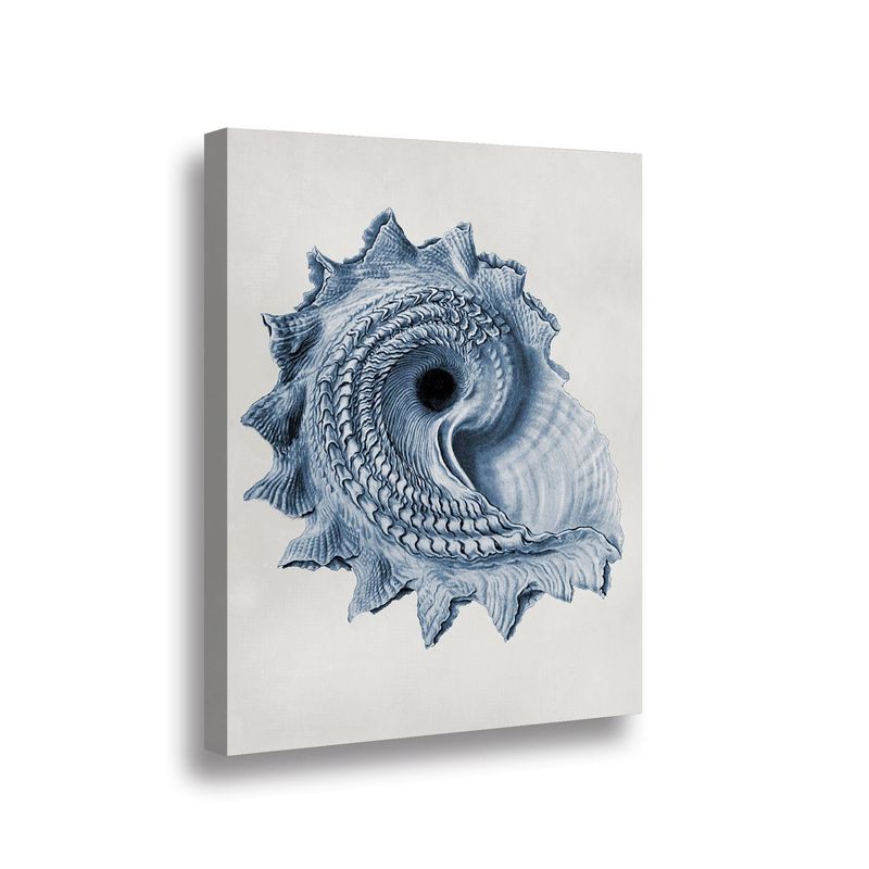 RETELA - Canvas Blue Shell III - Multicolor - 70x50 cm