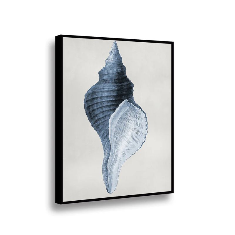 RETELA - Canvas Blue Shell - Multicolor - Enmarcado