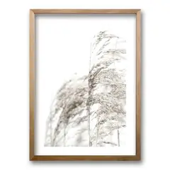 RETELA - Cuadro Trigo I - Cafe - 70x50 cm