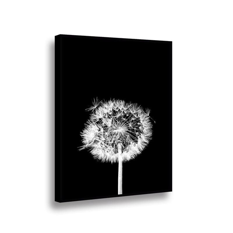 RETELA - Canvas Flor de Leon N - Multicolor - Enmarcado