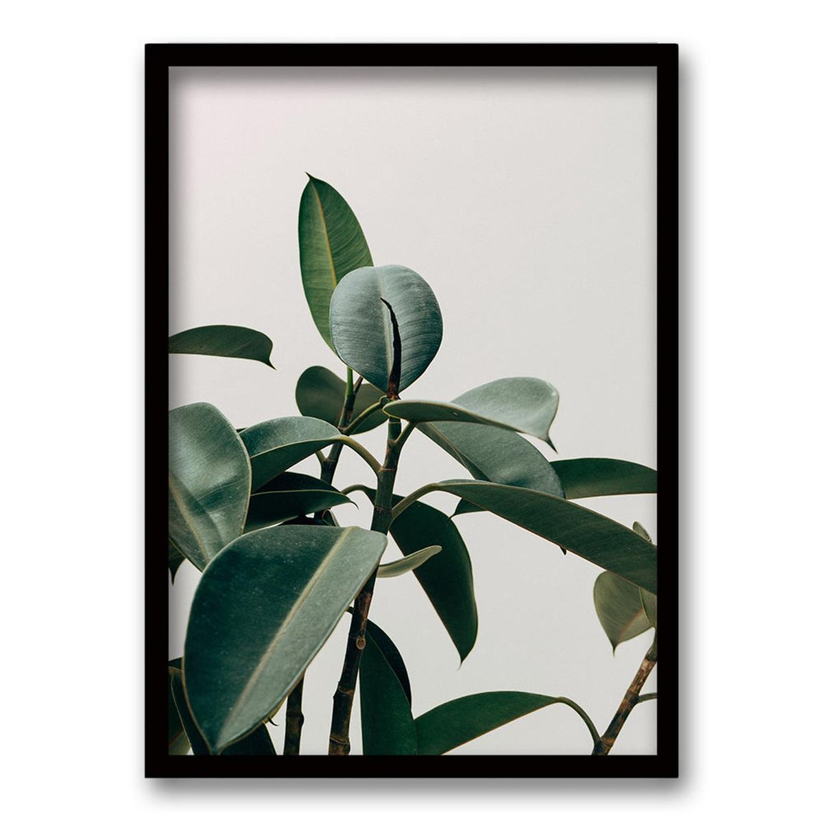 RETELA - Cuadro Planta - Negro