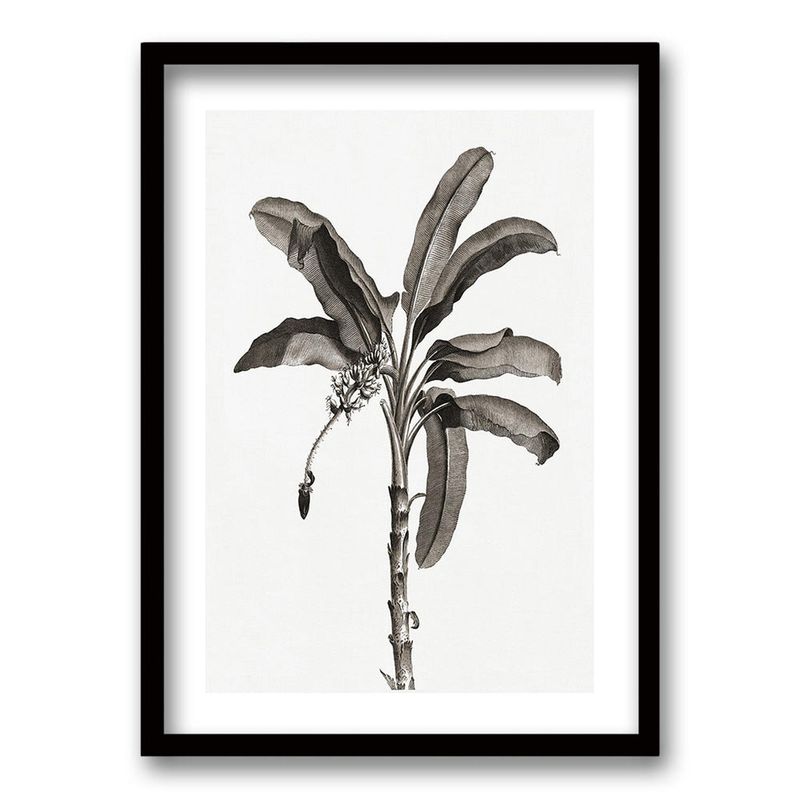RETELA - Cuadro Palms II - Negro - 50x35 cm