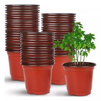 Macetas 15x13cm Maceteros Cactus Suculentas 100pizas