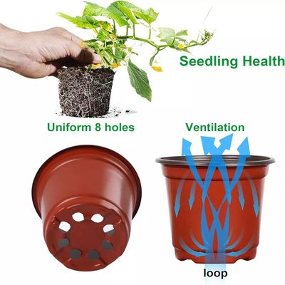 Imagen 2 del producto Macetas 15x13cm Maceteros Cactus Suculentas 100pizas