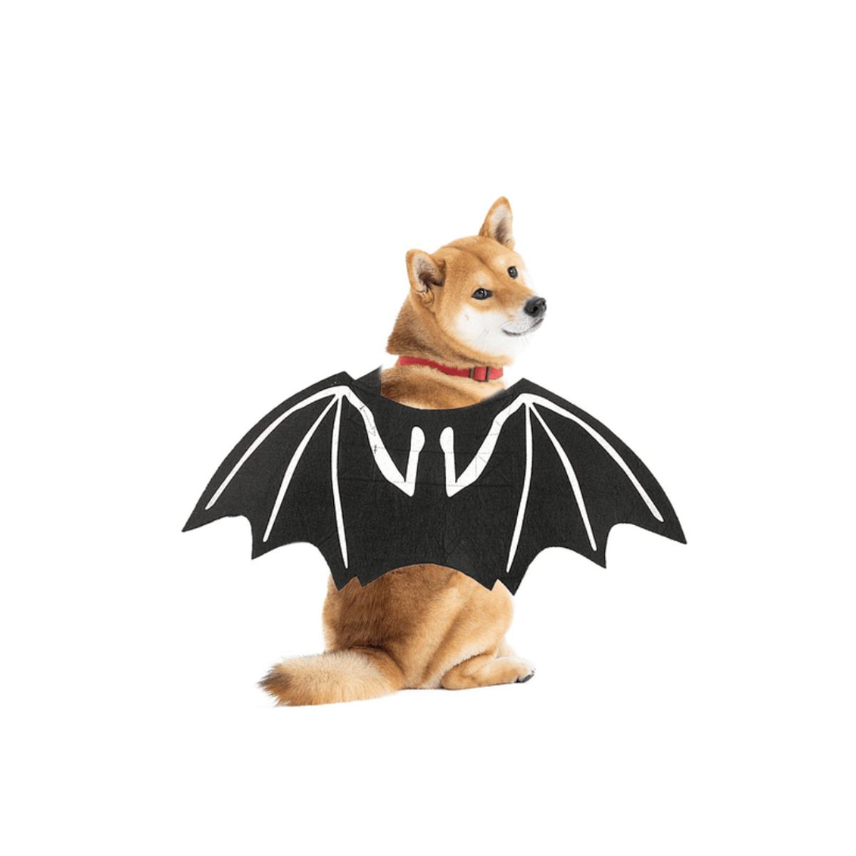 GENERICO - Disfraz Alas De Murciélago Para Gatosperros Halloween L