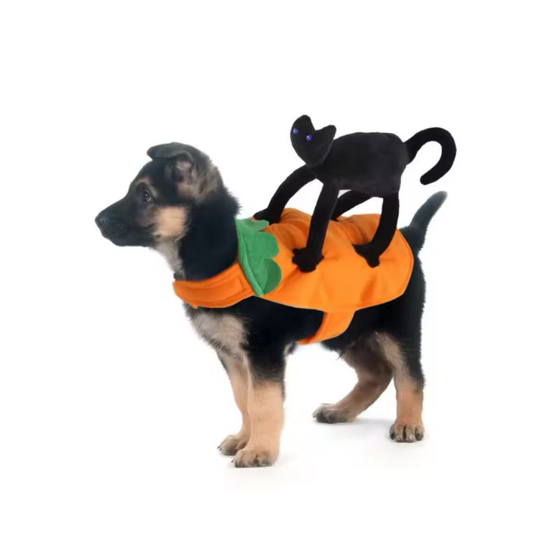 GENERICO - Disfraz Calabaza Con Gatos Negro Perro Gatos Halloween M