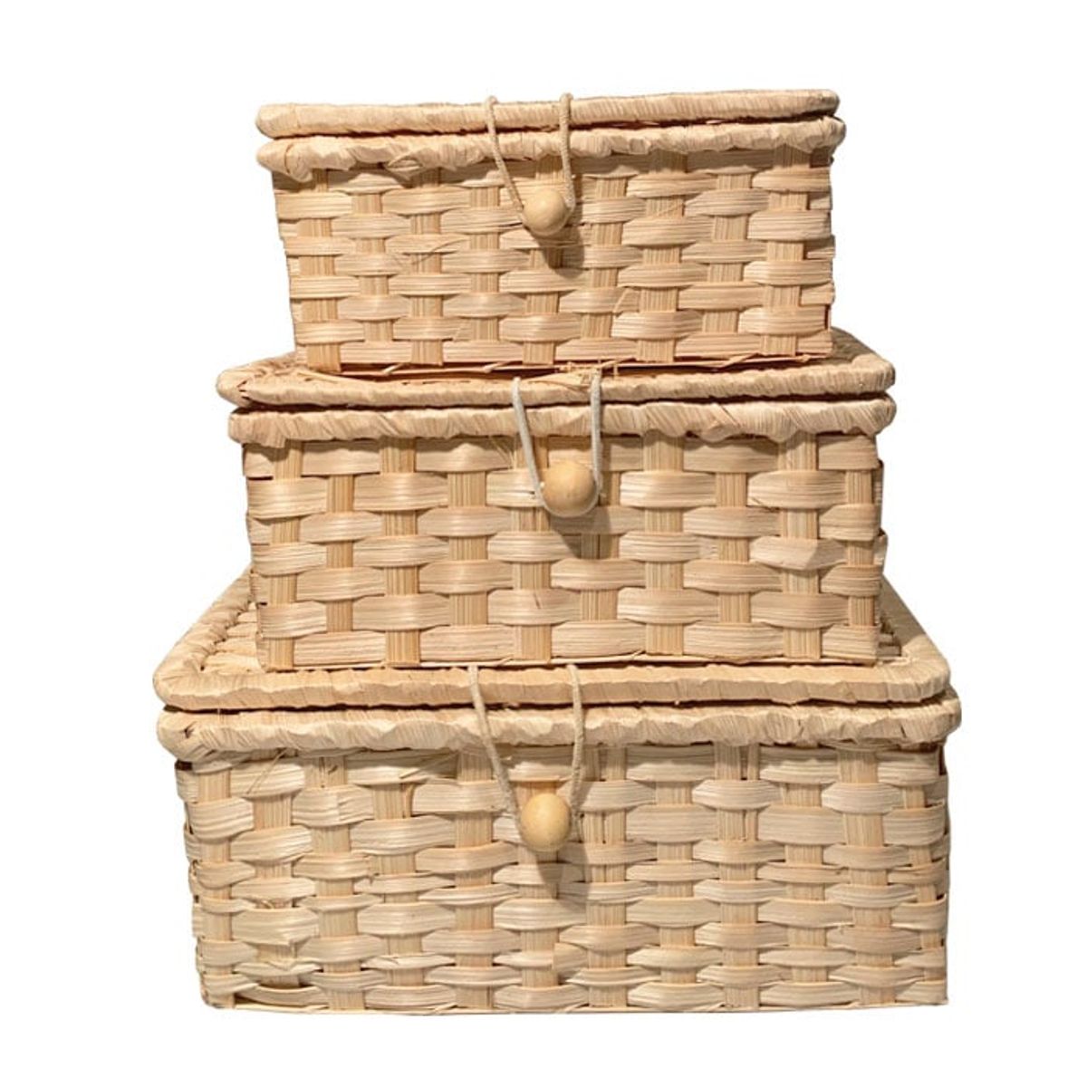 BRIC - Cestas organizadoras con tapa set