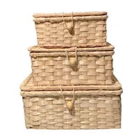 Cestas organizadoras con tapa set.