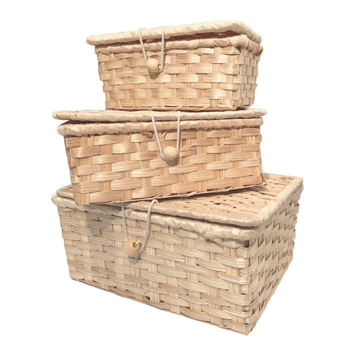 BRIC - Cestas organizadoras con tapa set