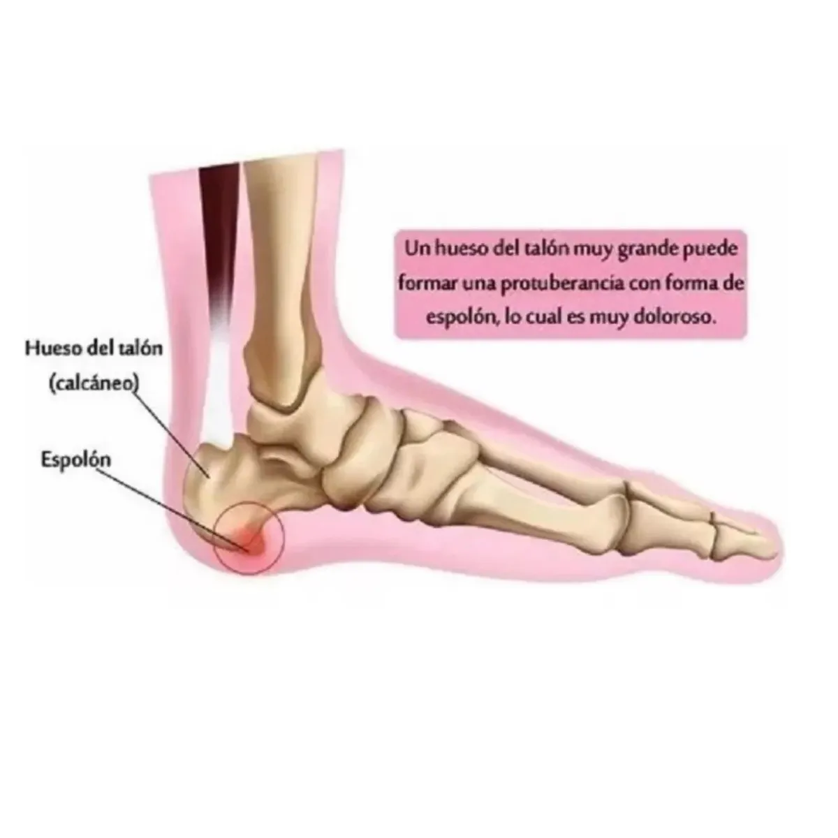 GENERICO - Plantillas Silicona Y Gel Comodidad Mujer Talla De 36 A 42