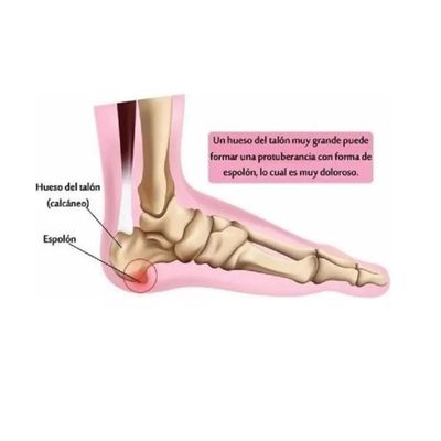 Imagen 2 del producto Plantillas Silicona Y Gel Comodidad Mujer Talla De 36 A 42