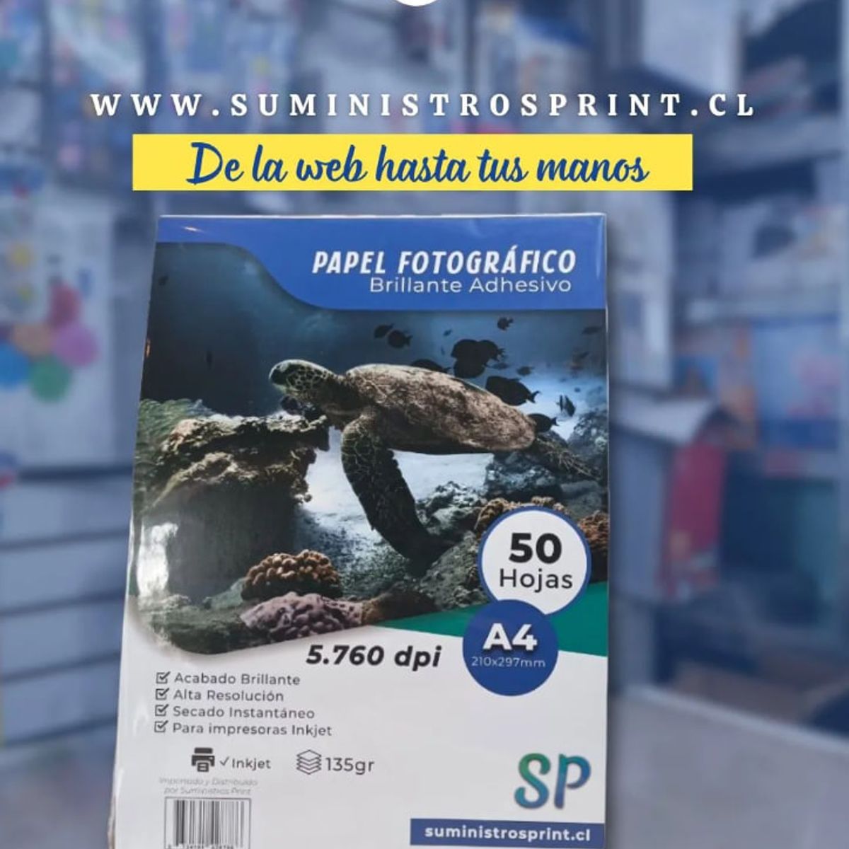 GENERICO - Tintas T555 Para Epson Color Negro 70 ml Premium L8160 G&G