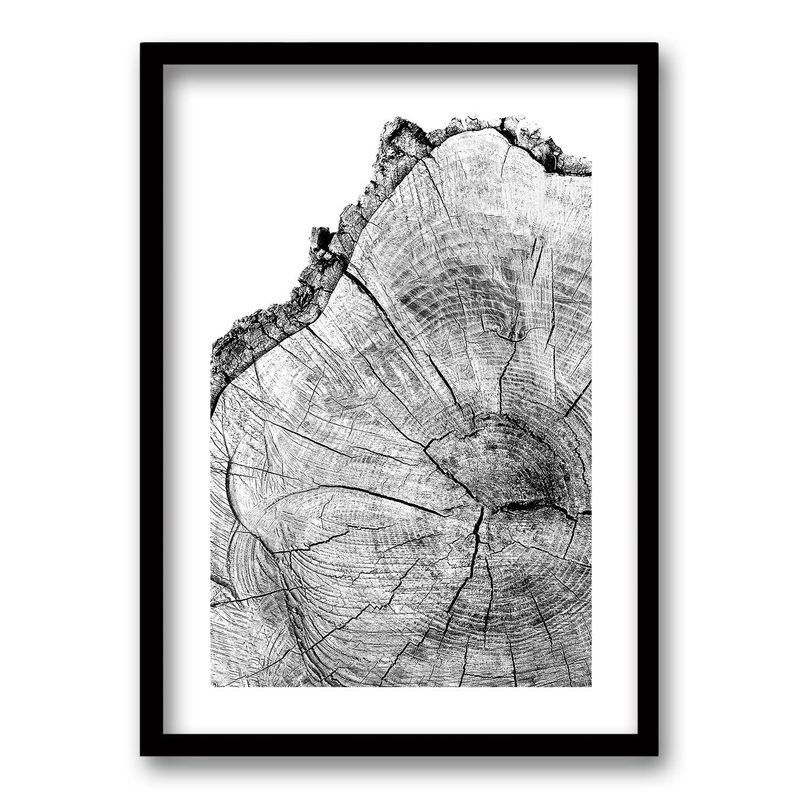 RETELA - Cuadro Pulso del Bosque - Negro