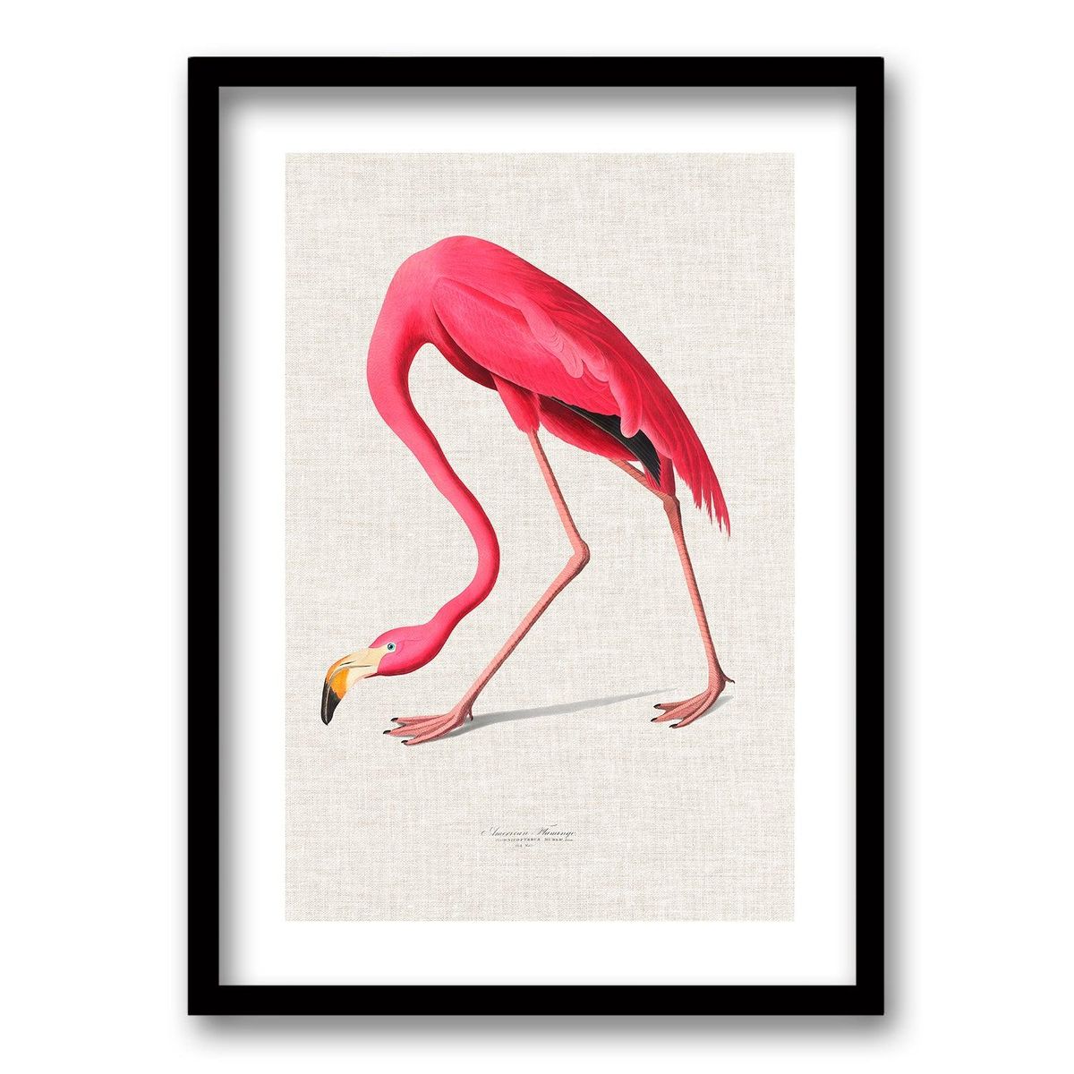 RETELA - Cuadro Elegancia Alada II - Negro