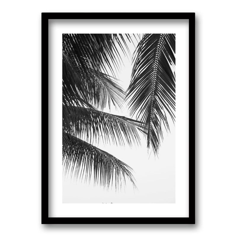 RETELA - Cuadro Palmera Nocturna - Negro