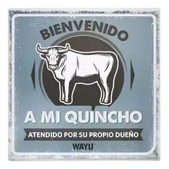 WAYU - CUADRO DECO BEER 25*25CM