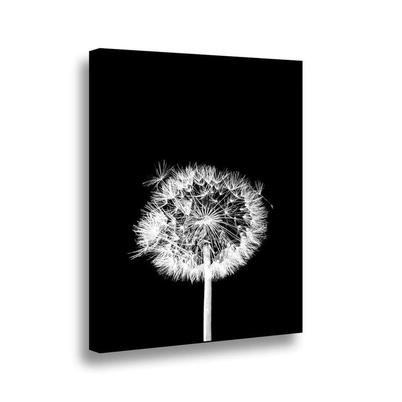 RETELA - Canvas Flor de Leon N - Multicolor - 70x50 cm