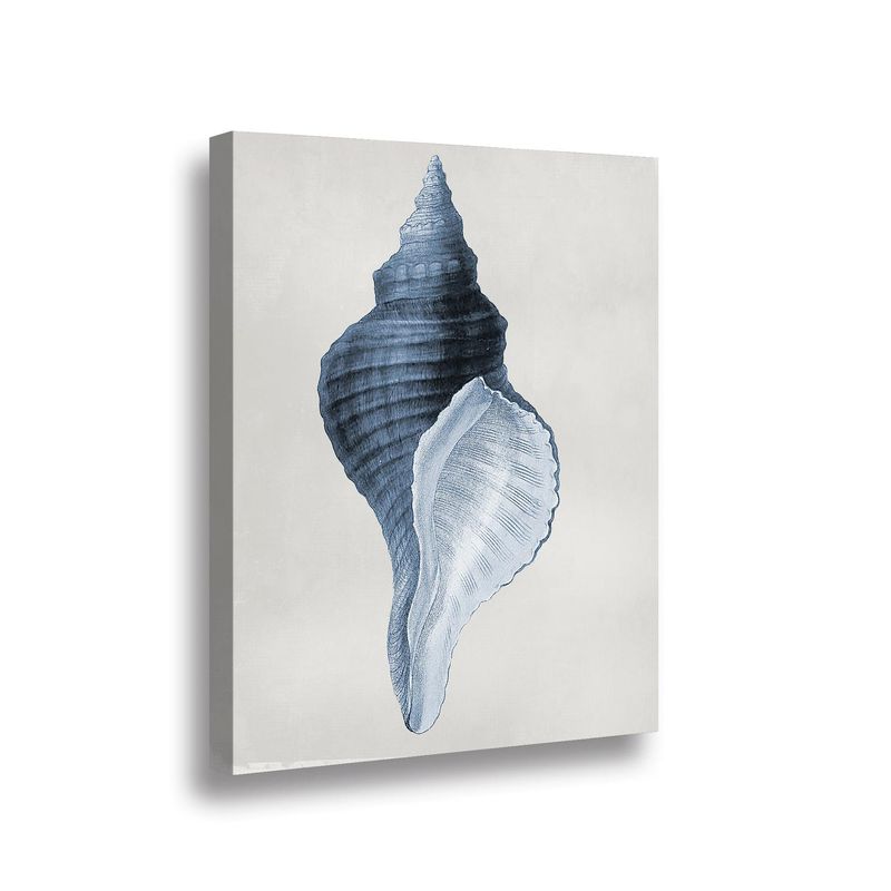 RETELA - Canvas Blue Shell - Multicolor - 70x50 cm