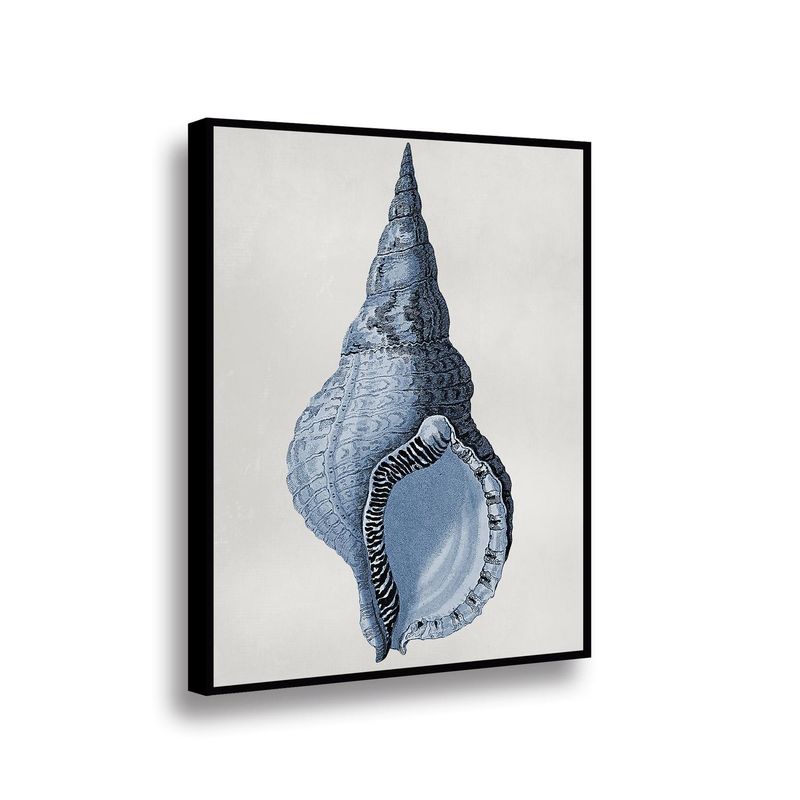 RETELA - Canvas Blue Shell II - Multicolor - Enmarcado