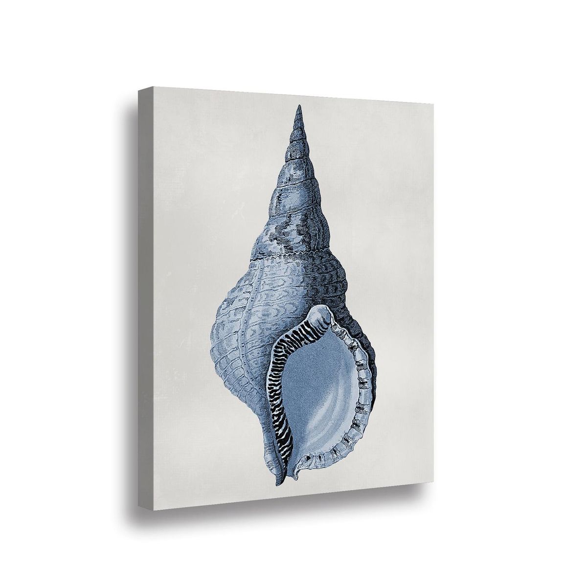 RETELA - Canvas Blue Shell II - Multicolor - 70x50 cm