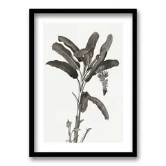 RETELA - Cuadro Palms I - Negro - 50x35 cm