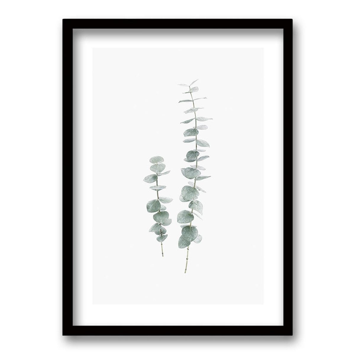 RETELA - Cuadro Rama Eucalipto - Negro - 40x30 cm